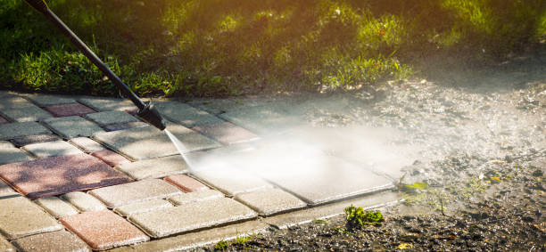 Best Solar Panel Cleaning  in Firthcliffe, NY